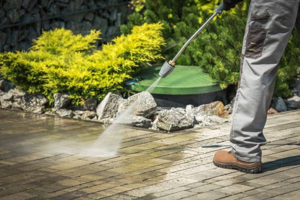 Best Fence Cleaning  in East Quogue, NY