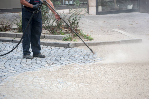 Best Driveway Pressure Washing  in East Quogue, NY